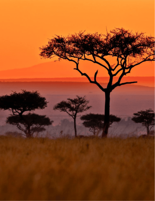 Africa